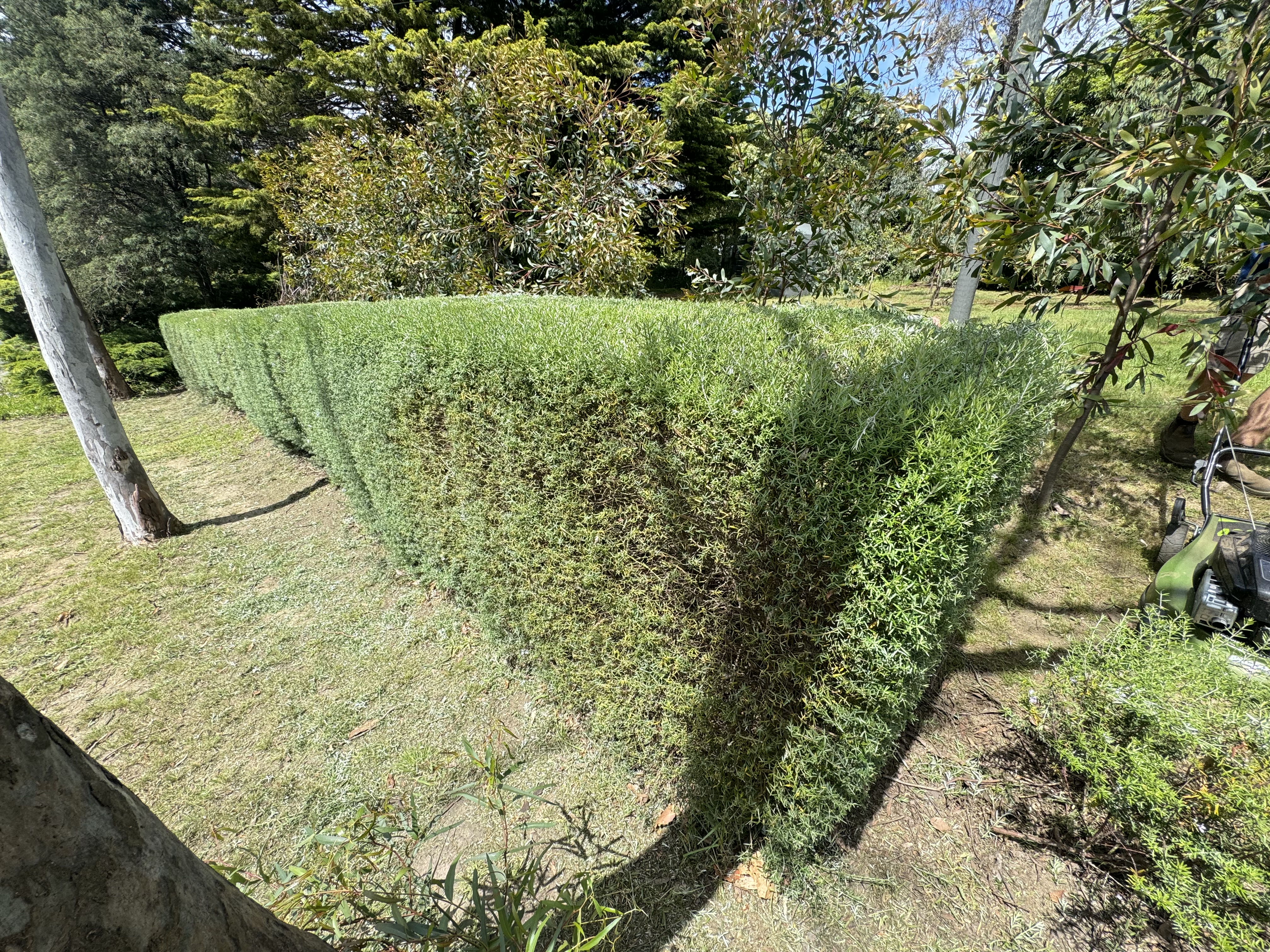 Smart Yards transformation 1